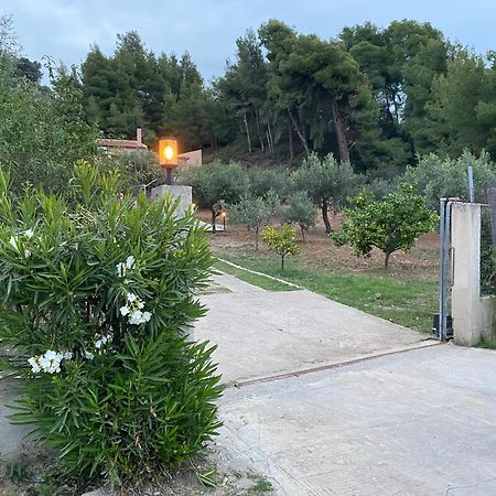 Askalosia Villa Agios Georgios  Exterior photo
