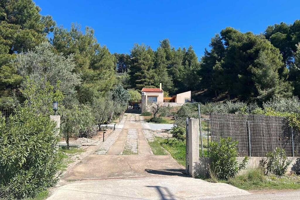 Askalosia Villa Agios Georgios  Exterior photo