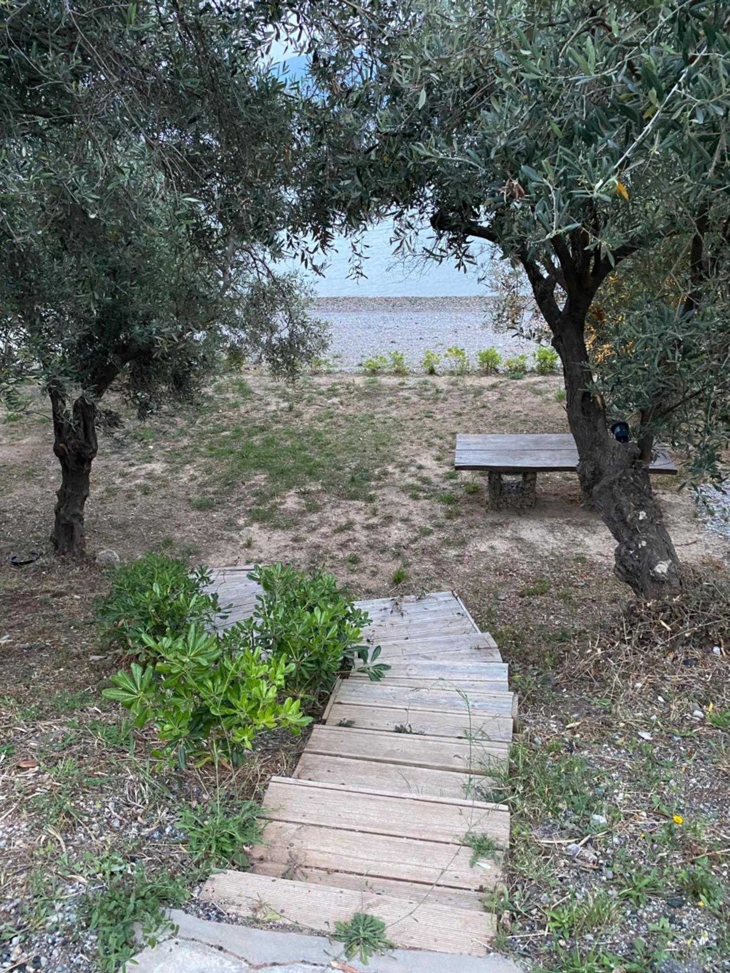 Askalosia Villa Agios Georgios  Exterior photo
